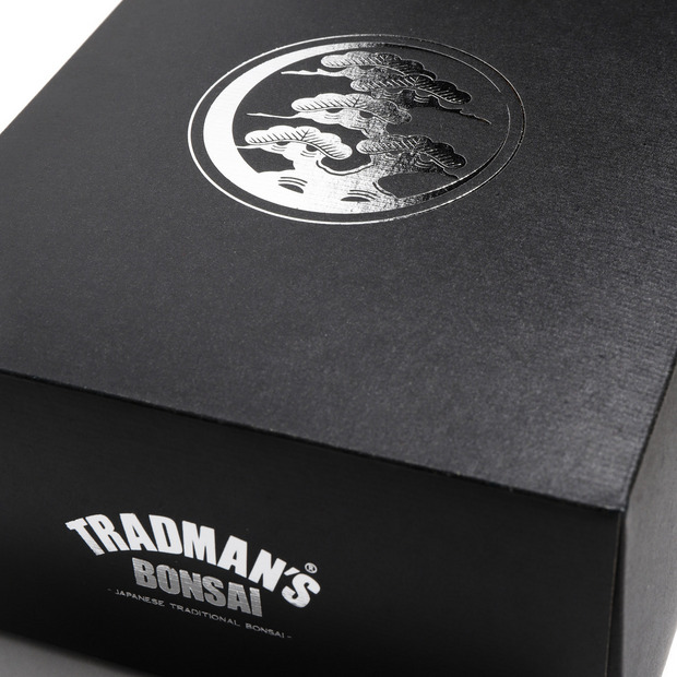 TRADMAN’S BONSAI -松葉茶 × 松葉ジン セットボックス- 詳細画像